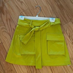 Zara Skirt